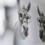 Altitude 399 A Trois-ponts Avec Sauna Et Jacuzzi Feriehus Basse-Bodeux