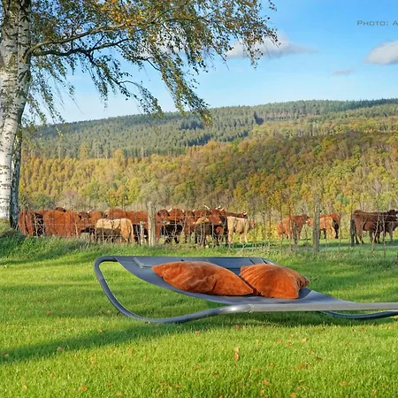 Altitude 399 A Trois-ponts Avec Sauna Et Jacuzzi