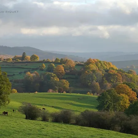 Vakantiehuis Altitude 399 A Trois-ponts Basse-Bodeux